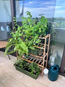 a bunch of plants on a shelf in a window at Acogedor apartamento de playa en Casamar para 4 in San Carlos