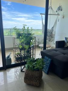 ein Wohnzimmer mit zwei Topfpflanzen und einer Hängematte in der Unterkunft Acogedor apartamento de playa en Casamar para 4 in San Carlos