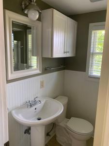 a bathroom with a sink and a toilet at Cozy Cottage Convenience in Penfield