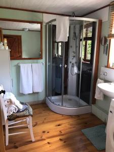 a bathroom with a shower and a sink at Cottage Les Glycines in Javron-Les-Chapelles