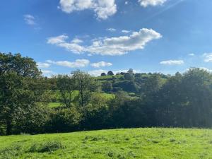 a green field with trees and a blue sky at The Haystack in Oswestry