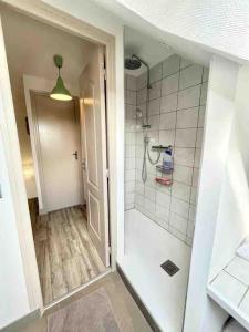 een badkamer met een inloopdouche en een inloopdouche bij Maison - 3 chambres - Jardin in Huisseau-sur-Cosson +11 foto's