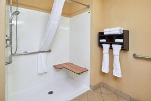 Koupelna v ubytování Hampton Inn & Suites Austin South Buda