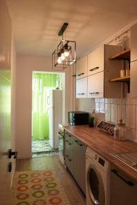 a kitchen with a counter with a washer in it at Quiet Studio in Piteşti