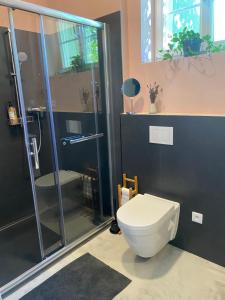 a bathroom with a toilet and a glass shower at CARLS AUTHENTIC B&B in Karlovy Vary