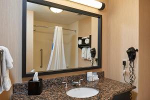 Koupelna v ubytování Hampton Inn & Suites Austin South Buda