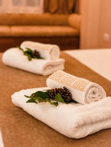 two folded towels on a counter with pine cones at Vila Alpini in Razëm +59 photos