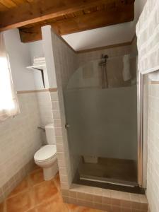 a bathroom with a toilet and a glass shower at Casa Rural Coripe in Coripe +24 photos