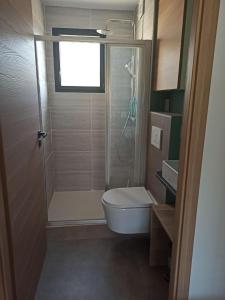 La petite salle de bains est pourvue d'une douche et de toilettes. dans l'établissement Chambre au coeur des vignes, à Myans