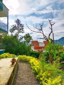 a garden with yellow flowers next to a building at Bird House - Apartament in Jardin