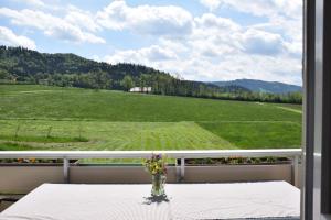 a vase of flowers sitting on a table on a balcony at Bauernhof Dieing in Isny im Allgäu