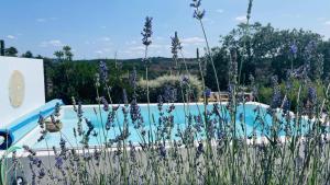 un jardín con flores púrpuras y una piscina en Lugar d´vagar, Vale Serrão, Castelo de Vide, en Castelo de Vide
