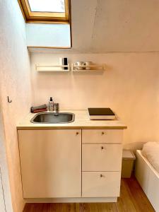 a bathroom with a sink and a counter with a window at Four à pain in Sprimont