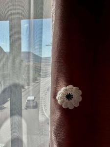 a flower button on the side of a window at Apartments Ejla&Una in Mostar