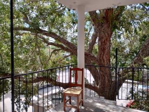 une chaise assise sur une terrasse couverte à côté d'un arbre dans l'établissement Apts. LOSSANTOS, à Matamoros