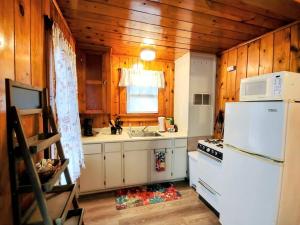 uma cozinha com um frigorífico branco e um lavatório em #07 - Lakeview One Bedroom Cottage-Pet Friendly em Hot Springs