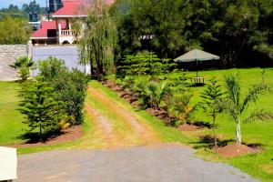 a dirt road leading to a garden with an umbrella at The White House in Eldoret