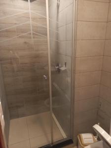 y baño con ducha y puerta de cristal. en PIHARE II en Santa Cruz de la Sierra