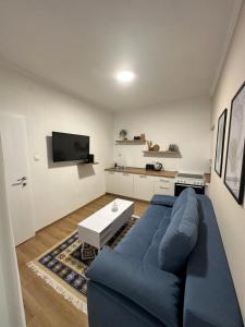 Televisyen dan/atau pusat hiburan di BLUE APARTMENT MOSTAR