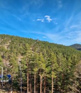 Kraštovaizdis prie apartamentų