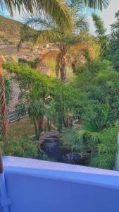 舍夫沙萬的住宿－Casa Ali，享有棕榈树和池塘的景色