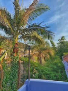 a view of a palm tree from a balcony at Casa Ali in Chefchaouen