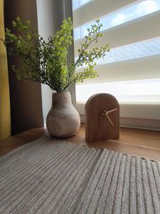 a vase with a plant in it next to a window at Studio 2 Apartment in Ełk