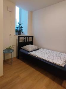 een slaapkamer met een bed in een kamer met een raam bij Apartment Staňkova in Brno