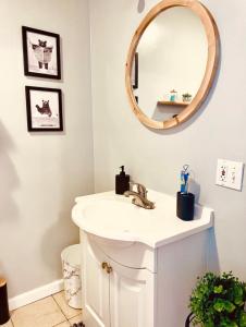 uma casa de banho com um lavatório e um espelho em The Bear’s Den em Charleston