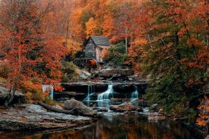 eine alte Hütte im Wald neben einem Fluss mit Wasserfall in der Unterkunft The Bear’s Den in Charleston