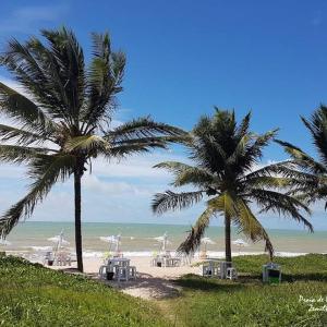 卡貝德盧的住宿－Flat na Praia de Intermares，两棵棕榈树,在海滩上
