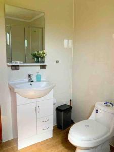 a bathroom with a white toilet and a sink at Linda y cómoda cabaña en un entorno natural in Los Ángeles