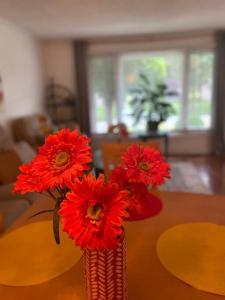 Glengarry Haus Home Away From Home في ميسيساوغا: إناء من الزهور الحمراء على طاولة