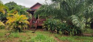 Zahrada ubytování Tree Trails Homestay & Offers Jungle Trekk-Scooter For Rental