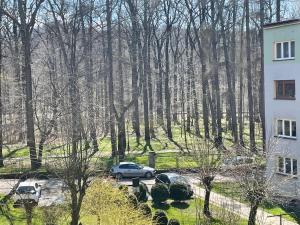 dos autos estacionados en un estacionamiento frente a un bosque en Apartament przy Parku en Żywiec