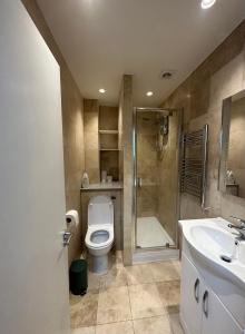 a bathroom with a toilet and a shower and a sink at Home-like 1-BR flat in Victoria in London