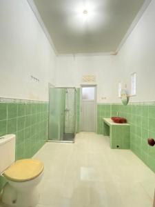uma casa de banho verde e branca com um WC e um chuveiro em Villa Wangko em Tanjungkarang