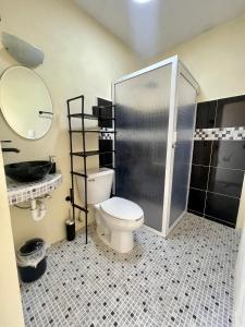 ein Bad mit einem WC, einer Dusche und einem Spiegel in der Unterkunft Isla Bonita - Isla Mujeres centro in Isla Mujeres