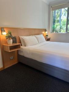 a bedroom with a large bed with a window at Bull and Bush Hotel in Medowie