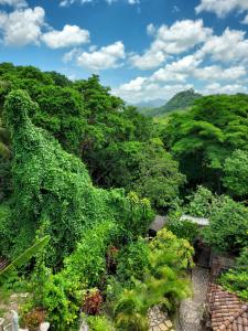 a view of a lush green forest with mountains at Hotel La Escalinata in Copan Ruinas