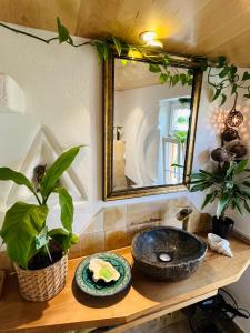 ein Badezimmer mit einem Waschbecken und einem Spiegel auf der Theke in der Unterkunft Bali-Style Tinyhaus am Wald in Bruckberg