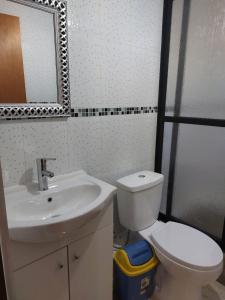uma casa de banho com um lavatório, um WC e um espelho. em CABAÑAS 88 Y 8 em Coñaripe