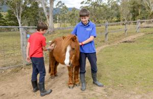 two boys standing next to a brown and white horse at The Big Bell Farm in Kangaroo Valley