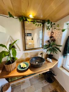 a bathroom with a sink and a mirror at Bali-Style Tinyhaus am Wald in Bruckberg