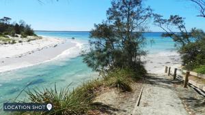 a path to a beach with trees and the ocean at Sealark in Callala Bay