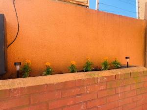 Φωτογραφία από το άλμπουμ του Hotel Mar Sur σε Talcahuano