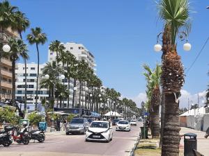una concurrida calle de la ciudad con coches y palmeras en Happy Tucan, en Lárnaca