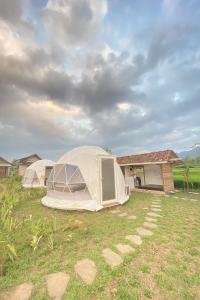 two tents in a field in front of a house at Borobudur Luxury Glamping in Magelang