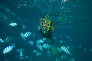 a person swimming in the water with a school of fish at Cerf Island Resort in Cerf Island