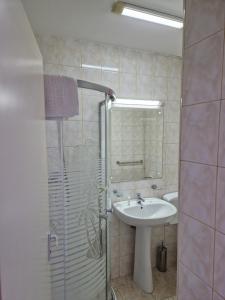 a bathroom with a sink and a shower at ANTIK HOUSE in Cornu de Jos